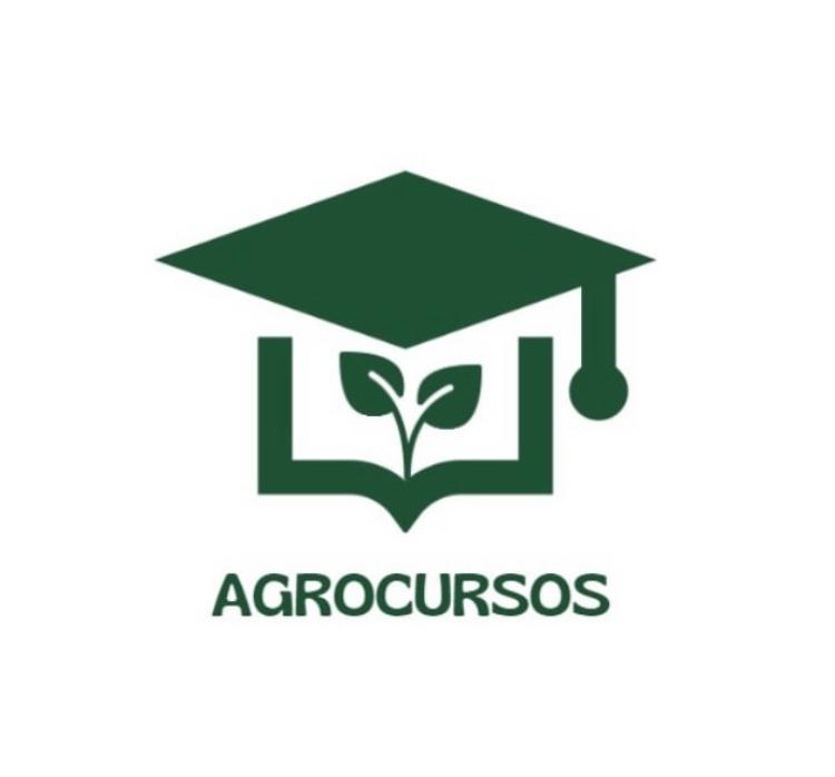 Comercio